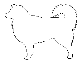Australian Shepherd Pattern