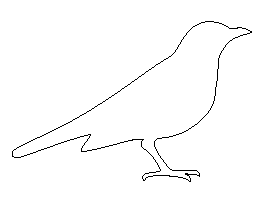 Blackbird Pattern