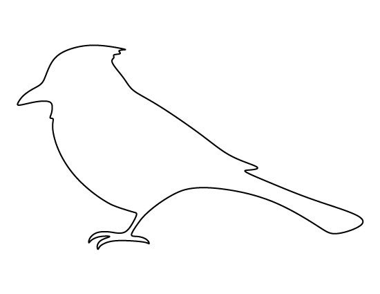 Blue Jay Template