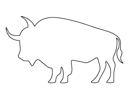 Buffalo Pattern