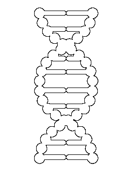 DNA Pattern