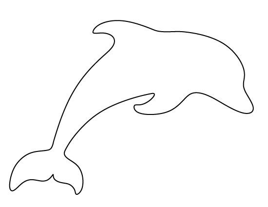Dolphin Template