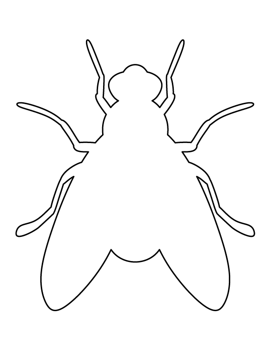Insect Templates Printable