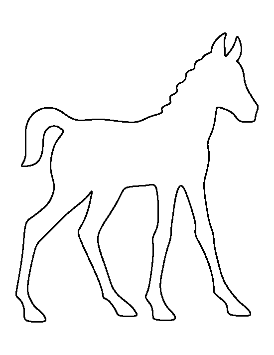 Foal Template