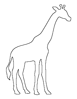Giraffe Pattern