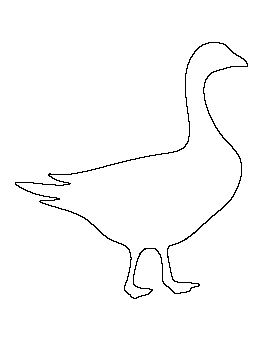 Goose Pattern