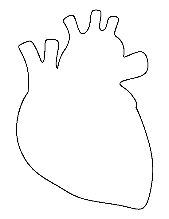 Human Heart Template