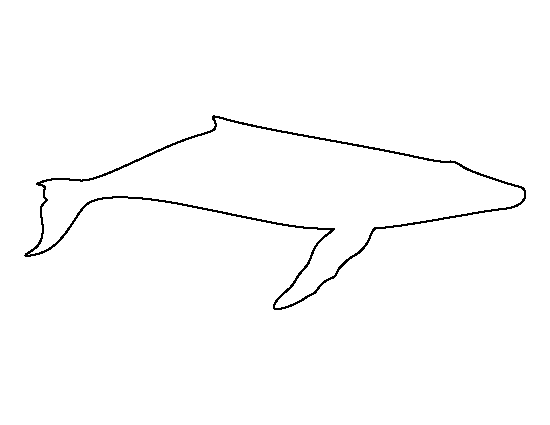 Humpback Whale Template