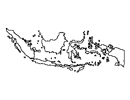 Indonesia Pattern
