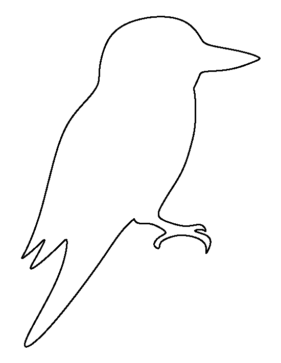 Kookaburra Template