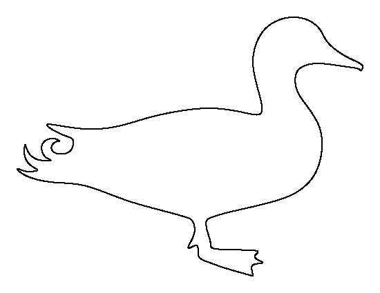 Mallard Duck Template