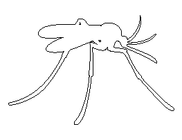 Mosquito Pattern