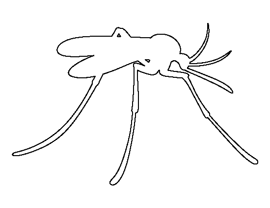 Mosquito Template