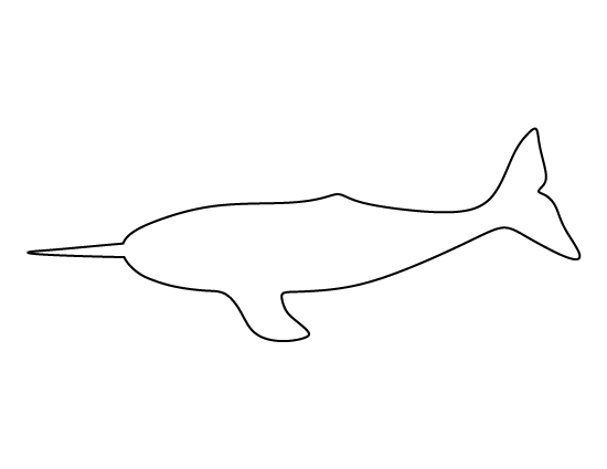 Narwhal Template