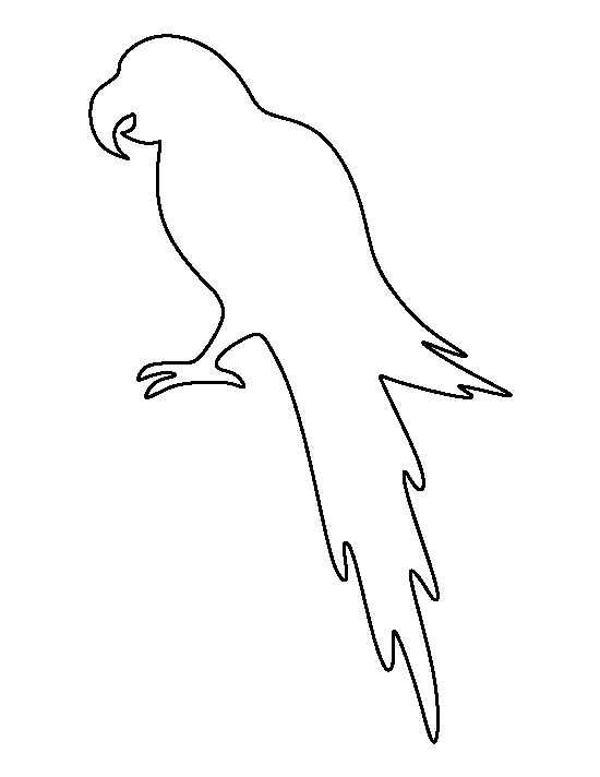 Printable Parrot Template