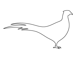 Pheasant Pattern