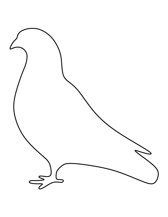 Pigeon Template