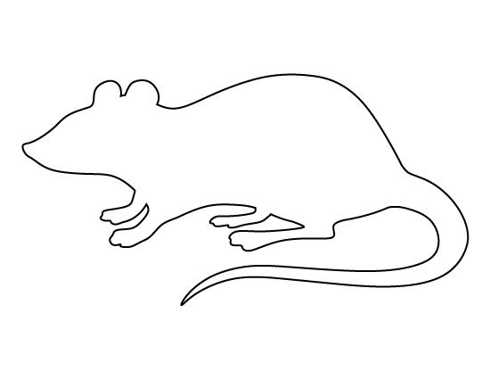 Rat Template