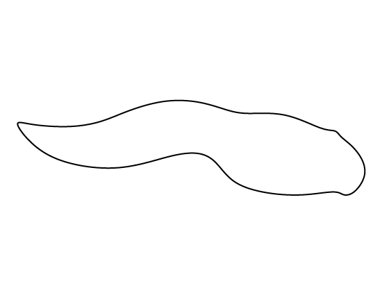 printable-tadpole-template