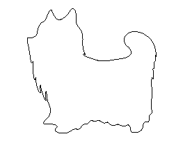 Yorkshire Terrier Pattern