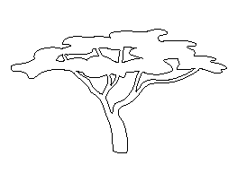 African Tree Pattern