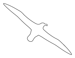 Albatross Pattern