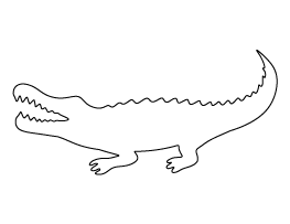 Alligator Pattern