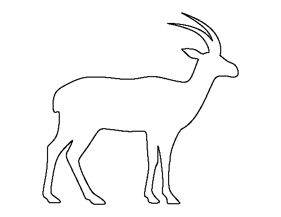 Antelope Template