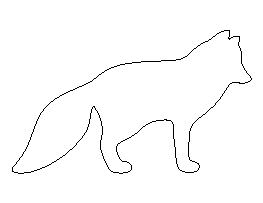 Arctic Fox Pattern