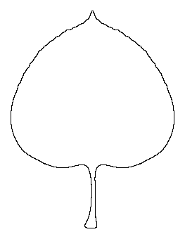 Aspen Leaf Pattern
