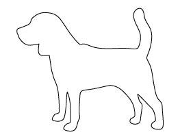 Beagle Pattern