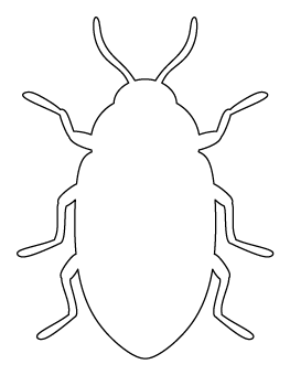 Beetle Pattern