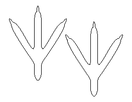 Bird Feet Pattern