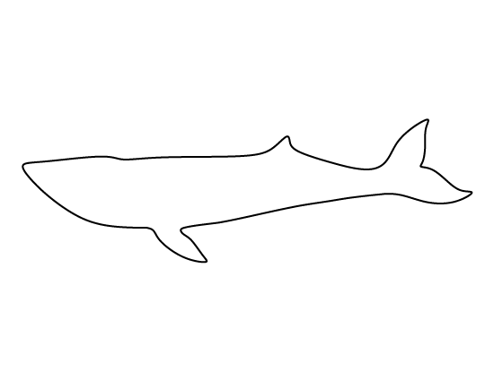 Blue Whale Template
