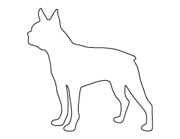 Boston Terrier Pattern
