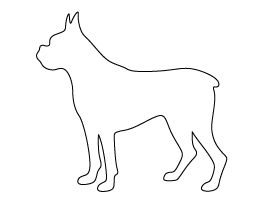 Boxer Dog Pattern