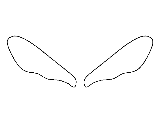 Bumble Bee Wings Template