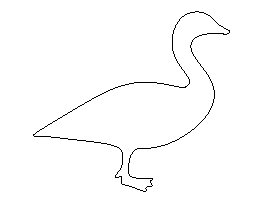 Canada Goose Pattern
