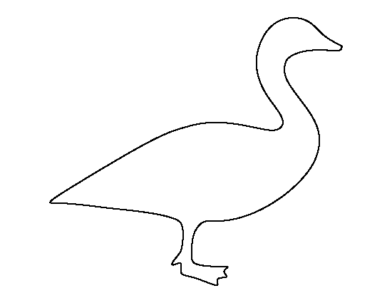 Canada Goose Template