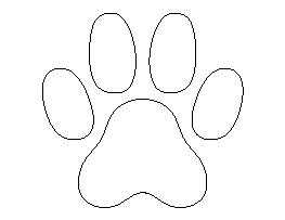 Cat Paw Print Pattern