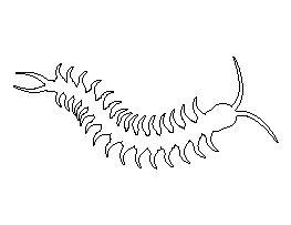 Centipede Pattern