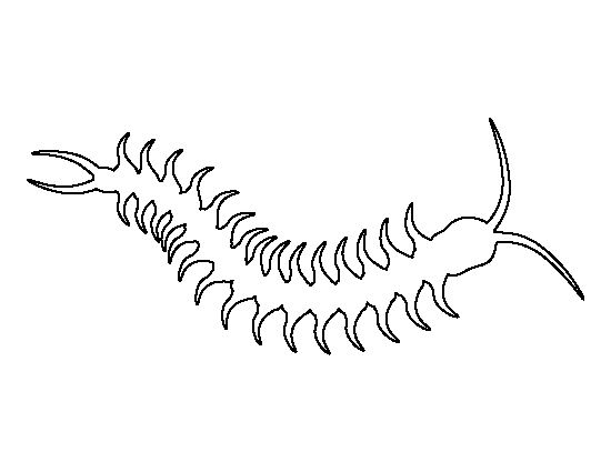 Centipede Template