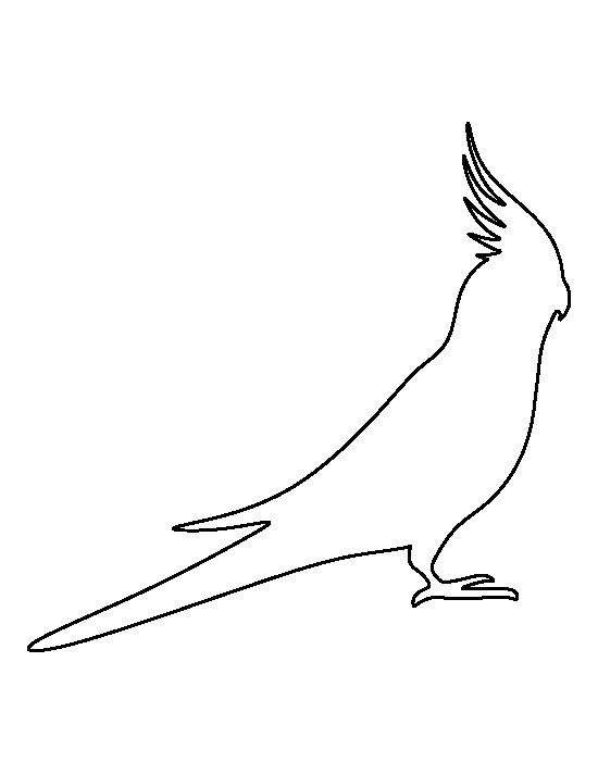 Printable Cockatiel Template