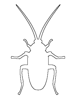 Cockroach Pattern