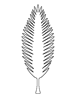 Coconut Tree Leaf Pattern