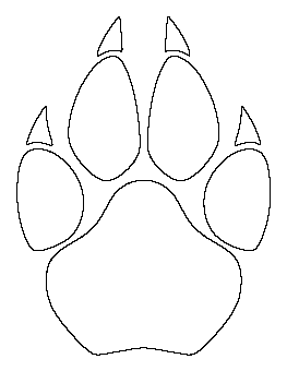 Cougar Paw Print Pattern