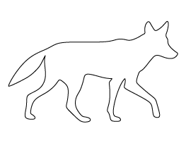 Coyote Pattern