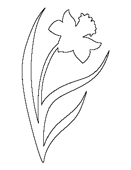 Daffodil Pattern