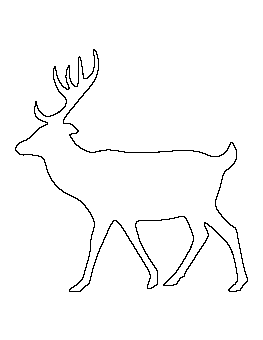 Deer Pattern
