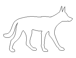 Dingo Pattern